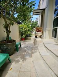 Holland Grove (D10), Semi-Detached #557151341